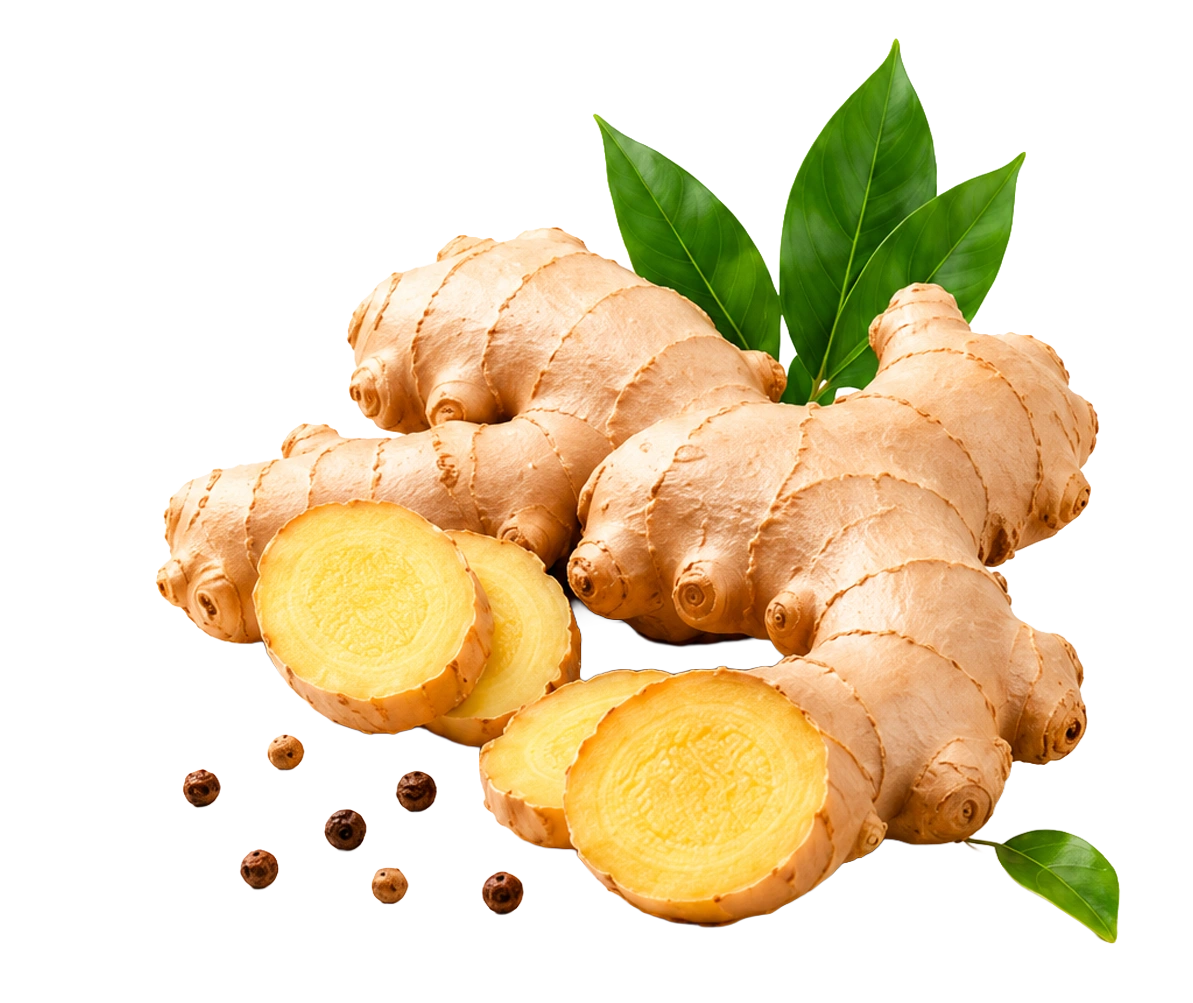 Fresh ginger root and slices